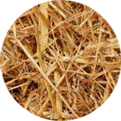 Straw