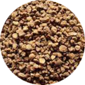 Olive Stones