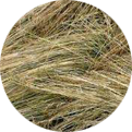 Grass Seeds