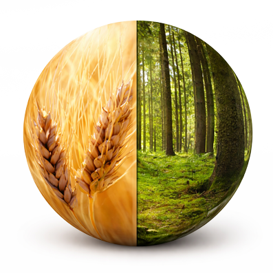 BIOMASS